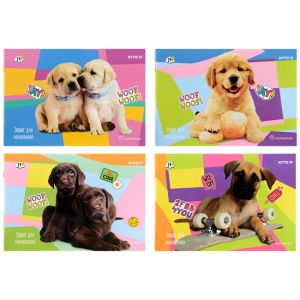 Скицник Kite Rachael Hale A4 24л. 100 g