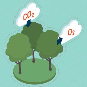 Стикер - Зелени технологии и устойчиво развитие, C4 стикер 10